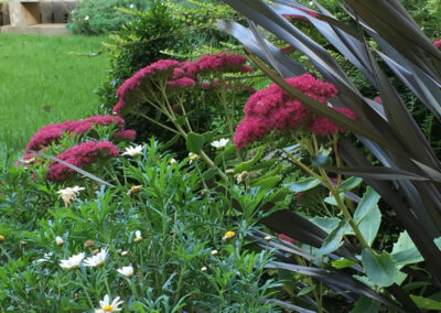 Martello Park Showgarden