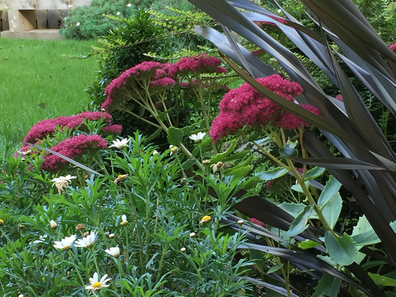 Martello Park Showgarden