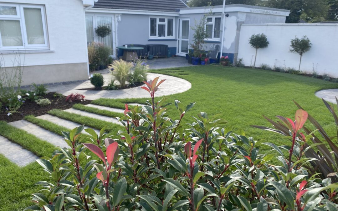Narberth – The Moon Garden