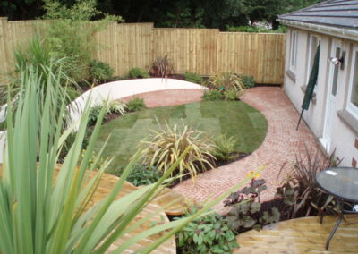 Curvy Living
